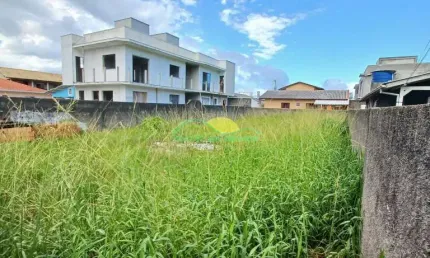Terreno plano e murado de 360m² (12X30) com zoneamento ARM-3.5 no Alto Ribeirão - Ribeirão da Ilha,