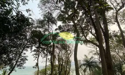 Oportunidade Rara: Área de 17.000M² | Ideal para Projeto Ecológico, Caieira da Barra do Sul em Flor