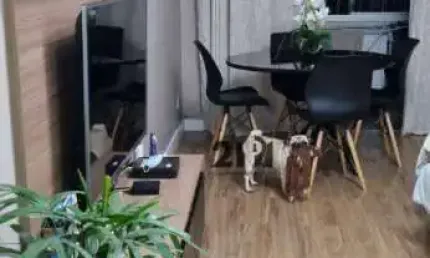 Apartamento com 3 dormitórios à venda, 70 m² por r$ 555.000,00 - jaçanã - são paulo/sp