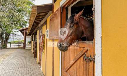 Lindo Haras à venda em Itatiba com 6 alqueires de terra
