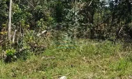 Terreno à venda no Albatroz, Matinhos 