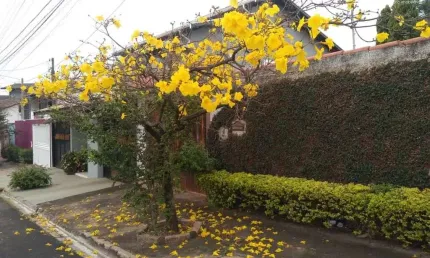 Sobrado à Venda, Jardim Regina, 3 quartos, 1 suíte, 165,85 m²