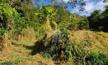 Terreno à venda, 600 m² por R$ 90.000,00 - Marquês de Maricá - Maricá/RJ