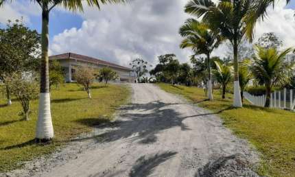Chácara / sítio com 5 quartos à venda na Rodovia SC-108, 100, Vila Nova, Joinville, 126000 m2 por R$ 2.500.000