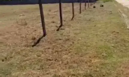Terreno à venda no bairro Massaguaçu - Caraguatatuba/SP