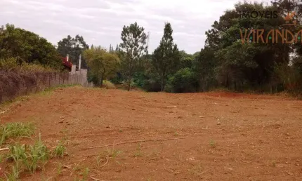 Terreno à venda, 5000 m² por R$ 850.000,00 - Joapiranga - Valinhos/SP