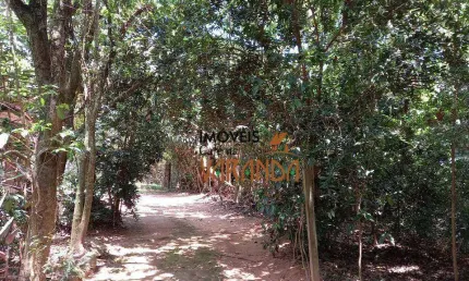 Chácara / sítio com 2 quartos à venda na Alameda Carlos Barduchi, Dois Córregos, Valinhos