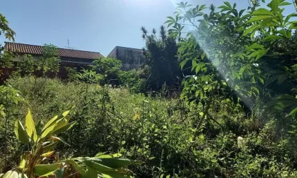 Terreno à venda na Rua Ettore Bertoli, Loteamento Residencial Santa Gertrudes, Valinhos