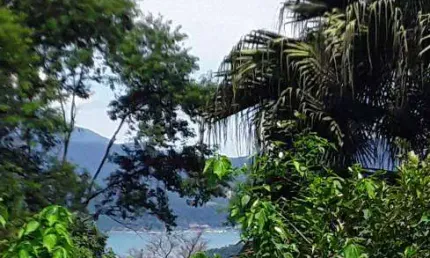 Terreno a Venda com 10.000 M²  com Vista para o mar em - Paraty - RJ