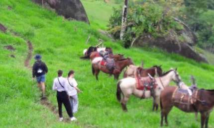 Chácara / sítio à venda na Rodovia Parati - Cunha, Baía de Paraty, Paraty