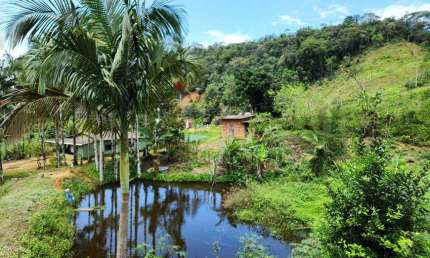 Chácara / sítio com 5 quartos à venda na Rua José Milton de Oliveira, 235, Prainha de Mambucaba, Paraty