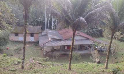 Chácara / sítio com 4 quartos à venda na Barra Grande, Paraty 