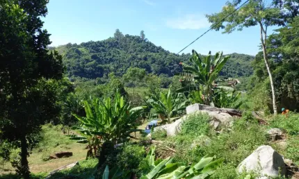 Chácara / sítio com 2 quartos à venda na Br 101  Km  567, 567, Tarituba, Paraty
