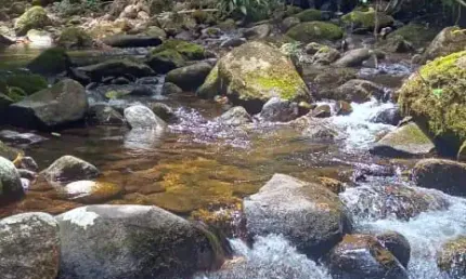 Chácara / sítio à venda na Estrada Pastor, 2522, Ubatumirim, Ubatuba
