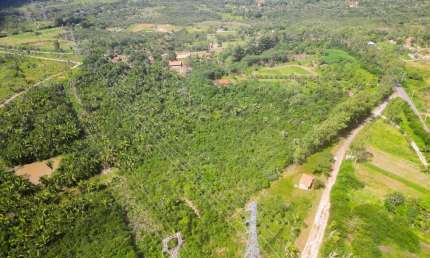 Vendo uma chacará em cajupary com 10ha - (100.000M²)