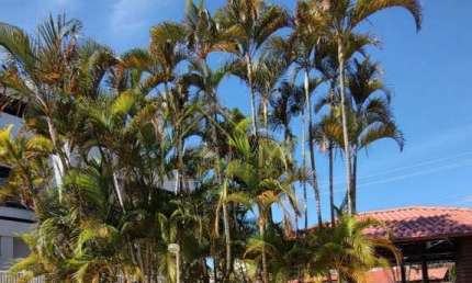 Casa em condomínio à venda próximo da Praia dos Ingleses