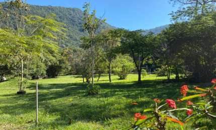 Terreno com água corrente em meio a natureza, norte da ilha, Muquem, Florianópolis, SC