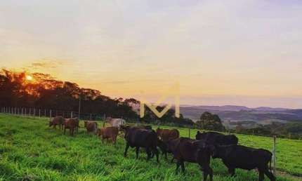 Sítio - 54.450 m² por R$ 2.100.000 - Rio Do Salto - Cascavel/PR
