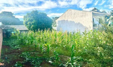 Terreno à venda, 360 m² por r$ 360.000,00 - parque verde - cascavel/pr