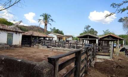 Fazenda Comercial à Venda em Esmeraldas-MG: 4 Quartos, 2 Salas, 2 Banheiros e 2 Vagas de Garagem, 1.570.000 m² de Área - Bairro Cancelinha.