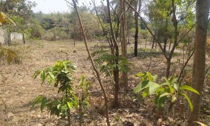Terreno à venda na Cidade Jardim, Esmeraldas 