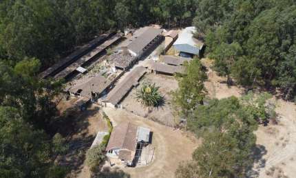 Fazenda completa em Esmeraldas-MG: 301ha, 3 quartos, 1 suíte, 2 salas, 3 banheiros, 10 vagas. Oportunidade única!