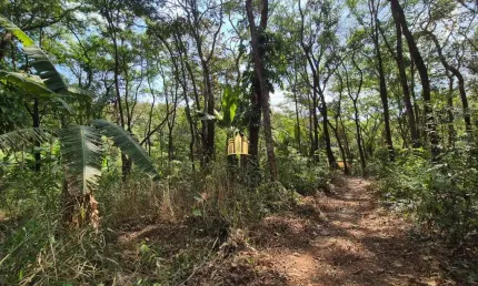 Terrenos à Venda em Betim - 1.100m², R$220.000 Cada Unidade, Pimentas