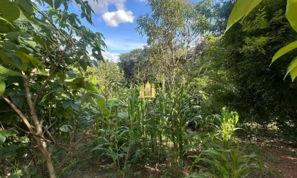 Terreno 5.000m² à Venda na Região Pimenta, Esmeraldas ? Oportunidade por R$250 Mil