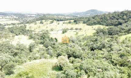 Fazenda Caio Martins ? 34,5 ha com Casa e Estrutura Completa
