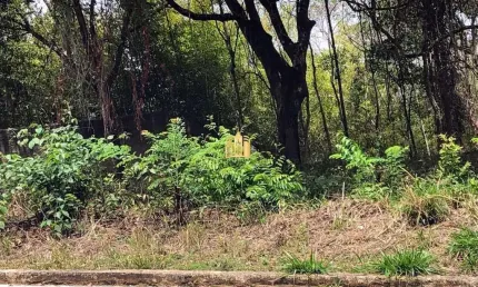 Lote à Venda Condomínio Quintas das Esmeraldas: 4.000m², 53m de Frente e Segurança 24h!