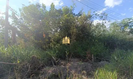 Lote 360m² à Venda no Bairro Maceió ? Terreno Plano, Excelente Oportunidade