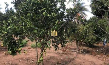 Chácara / sítio com 2 quartos à venda em Caracóis, Esmeraldas 