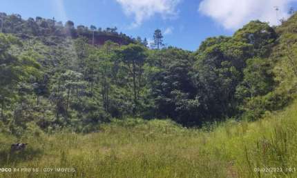 VENDO LINDA PROPRIEDADE COM CACHOEIRA EM MONTEIRO LOBATO-SP