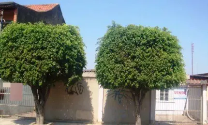 Casa com 2 quartos à venda na Rua Atanázio Soares, 0, 3257, Jardim Maria Eugênia, Sorocaba