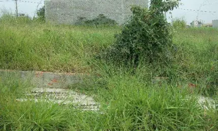 Terreno à venda na Rua Aparecido José Nunes De Campos, Vizinho Esquerdo Do Número 67 - 0, s/n, Jardim do Paço, Sorocaba