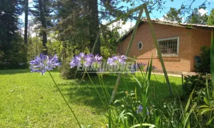 Chácara / sítio com 5 quartos à venda na Estrada Ditinho Godinho, 3km Da Rodoviária De Piedade, s/n, Zona Rural, Piedade