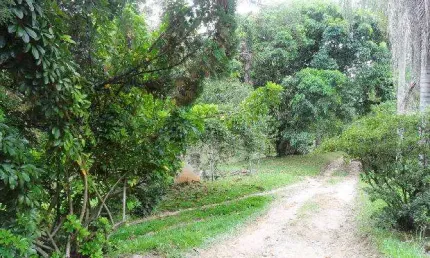 Ponto comercial à venda na Estrada Dos Leites, 0, s/n, Brigadeiro Tobias, Sorocaba