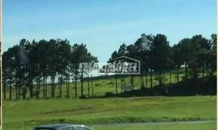 Terreno comercial para alugar na Rodovia Castelo Branco, Km 90,5, Zona Industrial, Sorocaba
