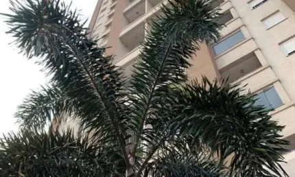 Apartamento à venda, 66 m² por R$ 450.000,00 - Centro - Cascavel/PR