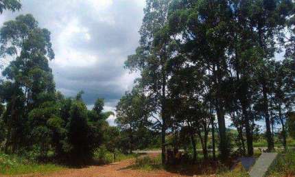 Chácara à venda, 10000 m² por R$ 1.800.000,00 - Paris - Guaraniaçu/PR