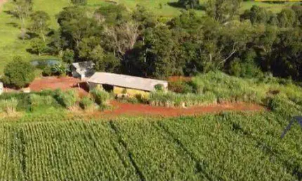 Sítio à venda, 42568 m² por r$ 1.000.000,00 - zona rural - lindoeste/pr