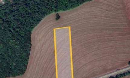 Área à venda, 24200 m² por R$ 3.146.000,00 - Nucleo de Produção III - Cascavel/PR