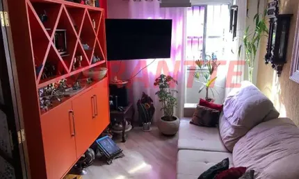 Apartamento de 51m² com 2 quartos em Lauzane Paulista