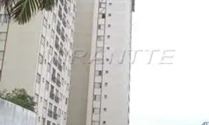 Apartamento com 3 quartos à venda na Avenida Parada Pinto, Santa Inês, São Paulo