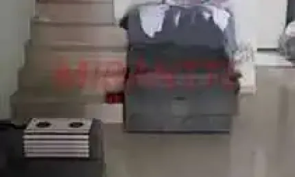 Casa com 3 quartos à venda na Rua Branca Raposo, Horto Florestal, São Paulo