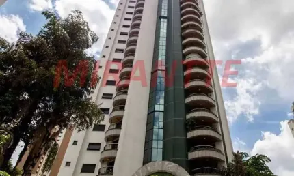 Apartamento de 463m² com 4 quartos em Anália Franco