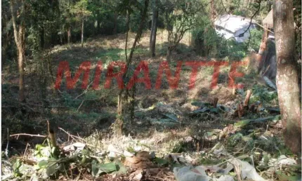 Terreno à venda na Avenida Nova Cantareira, Tucuruvi, São Paulo