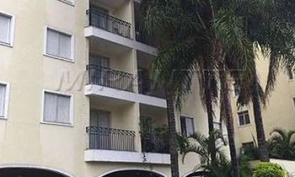Apartamento de 53m² com 3 quartos em Lauzane Paulista