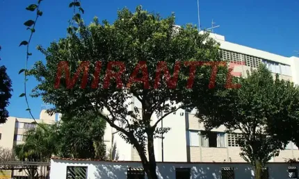 Apartamento de 52m² com 2 quartos em Vila Guilherme