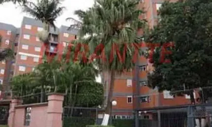 Apartamento com 3 quartos à venda na Rua Albertina Vieira da Silva Gordo, Vila Aurora (Zona Norte), São Paulo